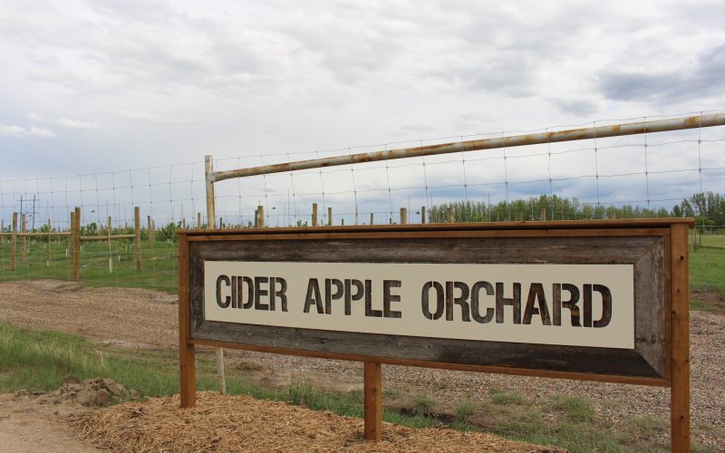 Cider Apple Orchard Sign