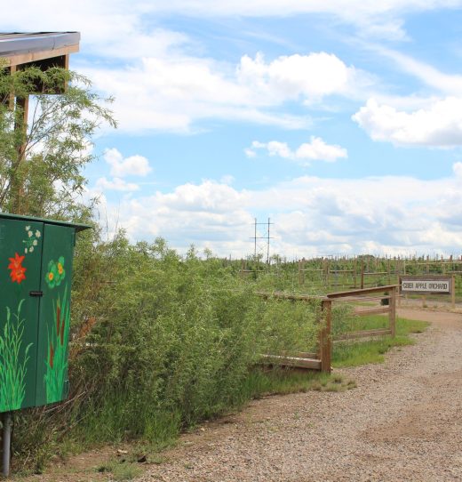 Mural on Electric Box and Path around Pond